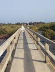 Pont de Djifer, Delta du Saloum, Sénégal