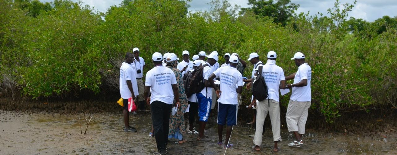 Cours régional mangrove