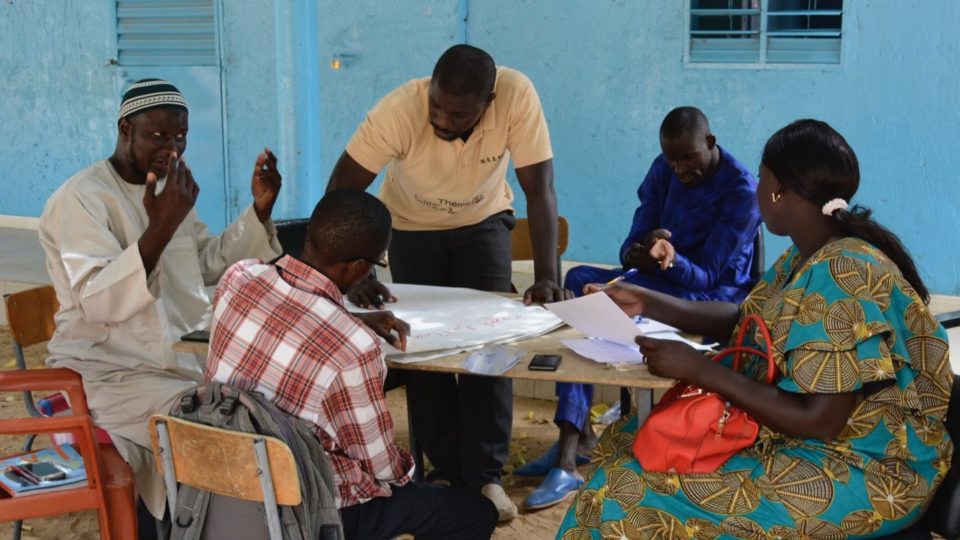 Evaluation des clubs mangroves