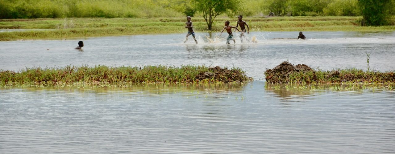 Site de restauration écologique de la mangrove -Guinée bissau